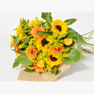 THE BUQUET OF THE SUN