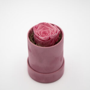 Pink Velvet Rose Box