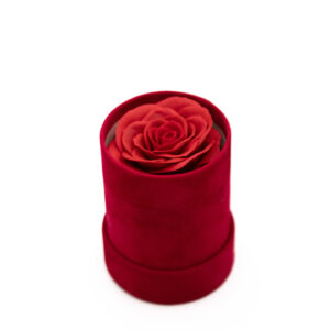 Velvet Rose Box