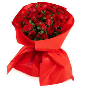 Red Passion